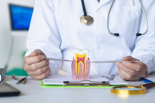 Best Emergency Dental Care for Broken or Chipped Teeth in Indian Shores, FL